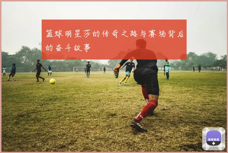 篮球明星莎的传奇之路与赛场背后的奋斗故事