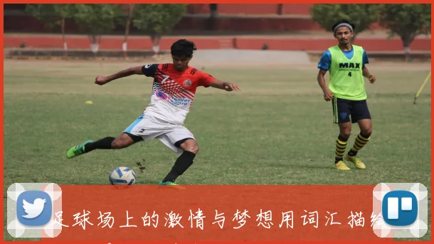 足球场上的激情与梦想用词汇描绘精彩瞬间的艺术之旅
