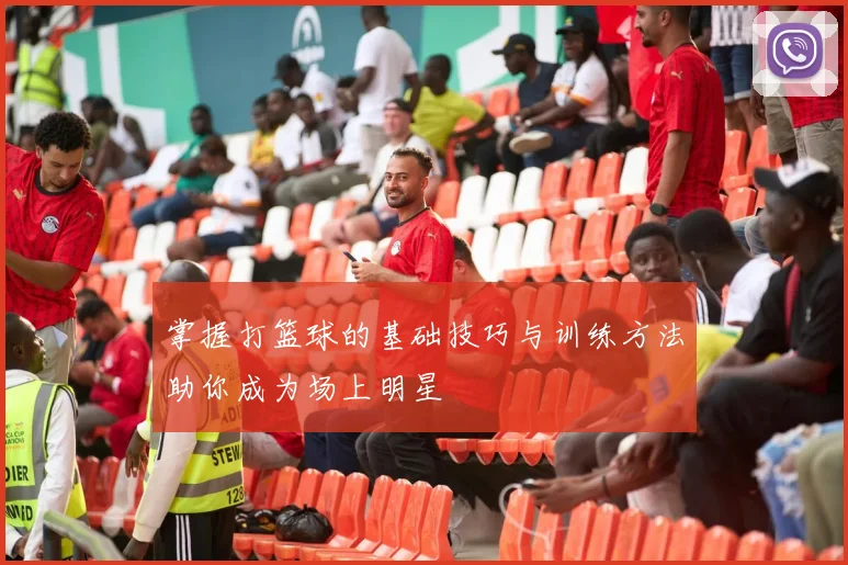 掌握打篮球的基础技巧与训练方法助你成为场上明星