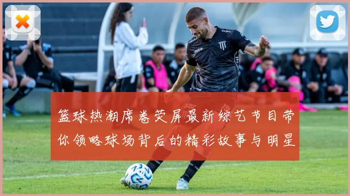 篮球热潮席卷荧屏最新综艺节目带你领略球场背后的精彩故事与明星互动