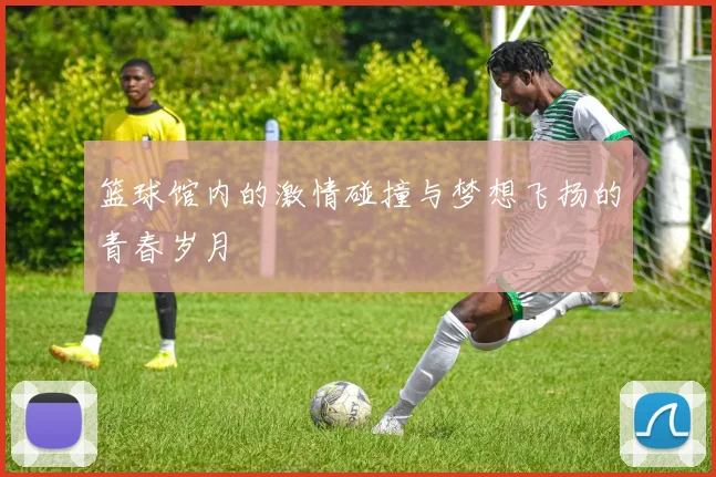 篮球馆内的激情碰撞与梦想飞扬的青春岁月