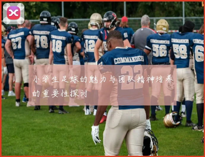 小学生足球的魅力与团队精神培养的重要性探讨