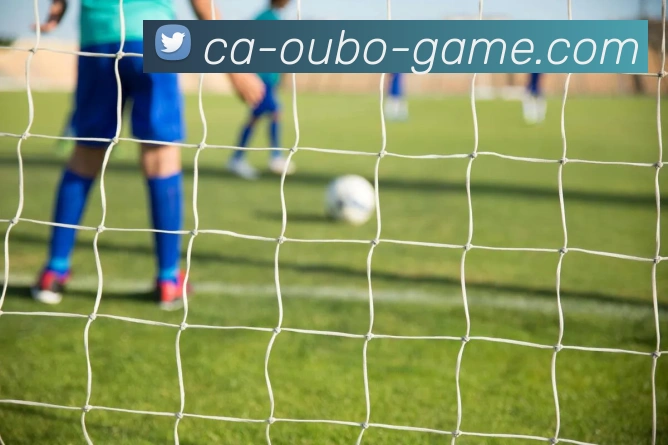 河南省篮球队奋勇拼搏展现青春风采助力地方体育发展与全民健身活动